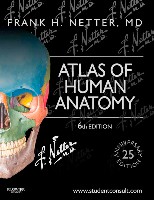 Frank H. Netter, MD - Atlas of Human Anatomy (6th ed ) 2014 page 1 read online